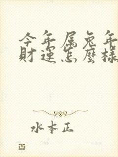 今年属兔年人的财运怎么样