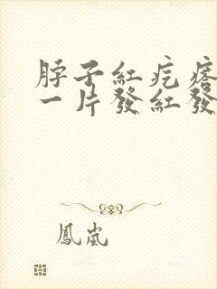 脖子红疙瘩一片一片发红发痒是怎么回事