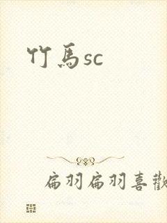 竹马sc封面
