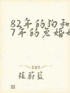 82年的狗和87年的兔婚姻如何