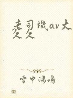 老司机av大片久久