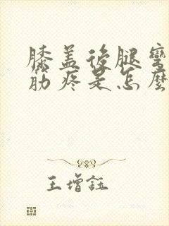 膝盖后腿弯处大筋疼是怎么了封面