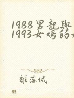1988男龙与1993女鸡的婚姻命运