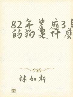 82年农历3月的狗是什么命