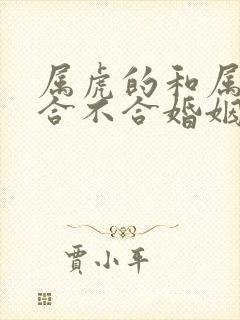 属虎的和属兔的合不合婚姻