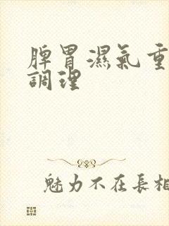 脾胃湿气重怎么调理