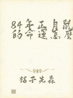 84年正月鼠男的命运怎么样