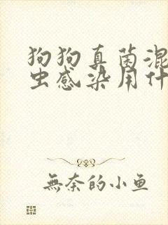 狗狗真菌混合螨虫感染用什么药