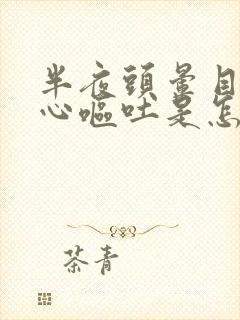 半夜头晕目眩恶心呕吐是怎么回事