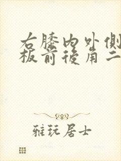 右膝内外侧半月板前后角二级损伤封面