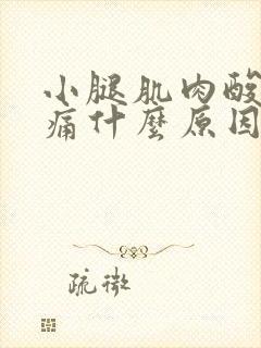 小腿肌肉酸痛胀痛什么原因引起的