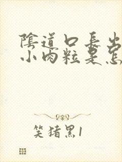 阴道口长出很多小肉粒是怎么回事