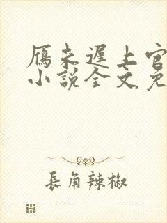 雁未迟上官穿越小说全文免费阅读