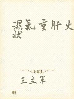 湿气重肝火旺症状