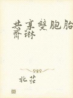 共享双胞胎齐娜齐琳