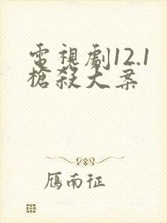 电视剧12.1枪杀大案