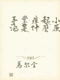 手掌痒起小疙瘩泡是什么原因导致