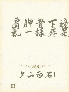 肩胛骨下边像岔气一样疼是怎么回事封面