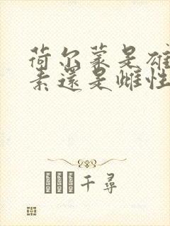 荷尔蒙是雄性激素还是雌性激素