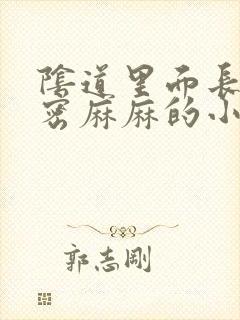 阴道里面长了密密麻麻的小疙瘩