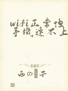 wifi正常但手机连不上,是什么原因