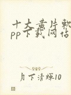 十大黄片软件app下载网站免费大全