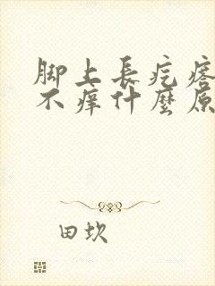 脚上长疙瘩不痛不痒什么原因封面