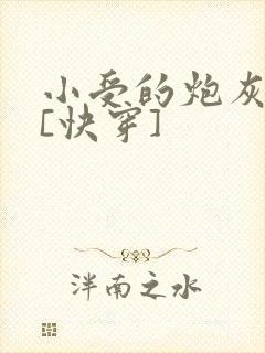 小受的炮灰生活[快穿]封面