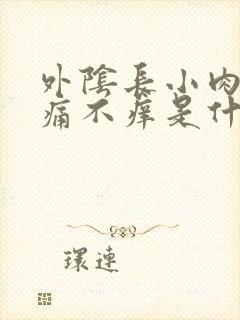 外阴长小肉粒不痛不痒是什么