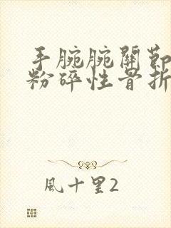 手腕腕关节桡骨粉碎性骨折