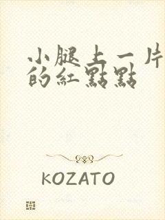 小腿上一片一片的红点点