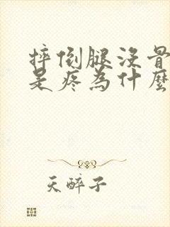 摔倒腿没骨折但是疼为什么