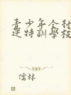 青少年全封闭叛逆特训学校