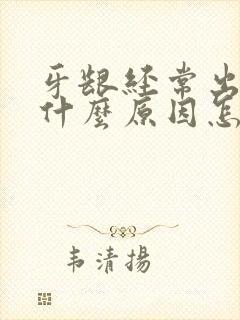 牙龈经常出血是什么原因怎么治疗封面