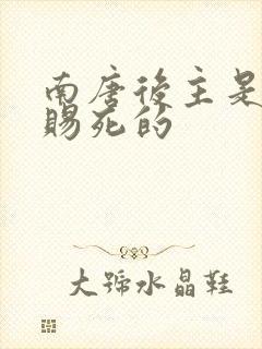 南唐后主是被谁赐死的封面