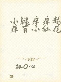 小腿痒痒越挠越痒有小红疙瘩用什么药