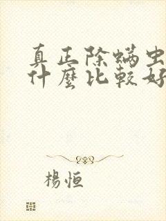 真正除螨虫的用什么比较好封面