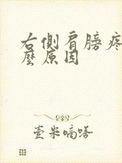 右侧肩膀疼痛什么原因封面