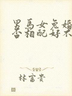 男马女兔婚姻是否相配好不好封面