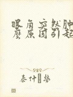 眼角突然肿痛什么原因引起的