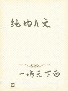 纯肉h文封面