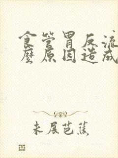 食管胃反流是什么原因造成的