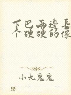 下巴两边长了一个硬硬的像痘的包封面