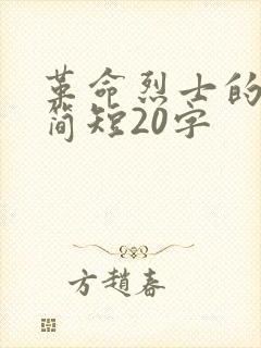 革命烈士的故事简短20字