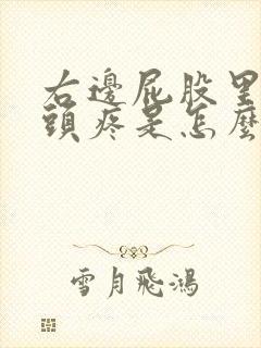 右边屁股里的骨头疼是怎么回事