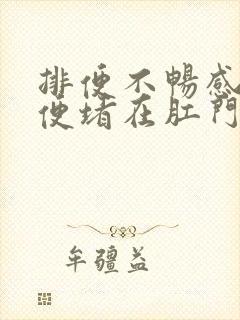 排便不畅感觉大便堵在肛门口怎么办呢