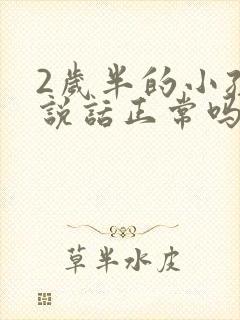 2岁半的小孩不说话正常吗封面