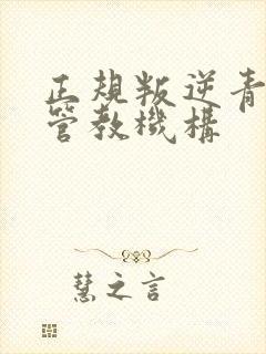 正规叛逆青少年管教机构封面