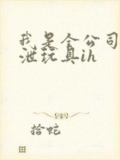 我是全公司的发泄玩具ih封面