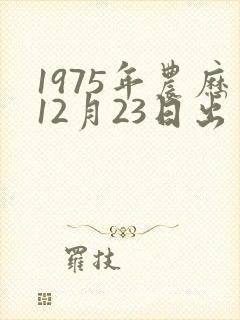 1975年农历12月23日出生的兔的命运